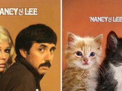 Someone Is Replacing Musicians With Cats In Famous Album Covers, And Result Is Better Than Original