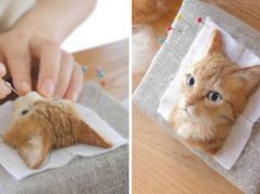 Japanese Artist Makes Realistic 3D Cat Portraits Out Of Felted Wool, And The Result Is Too Purrfect