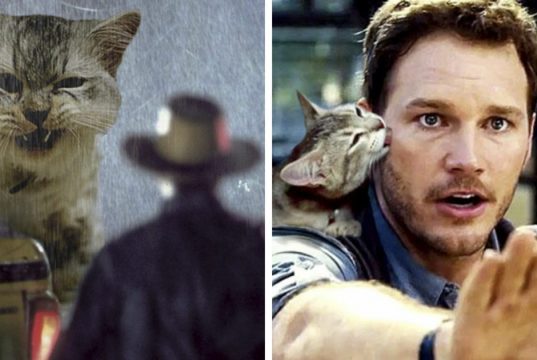 Jurassic Park’s Dinosaurs Replaced With Cats, And It’s Hilarious